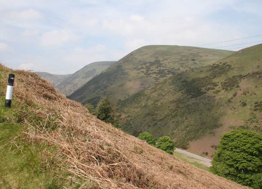 Image showing the hills above Cardingmill Valley. This is the view taken just inside the left hand fork just a couple of minutes from The Holt holiday cottage