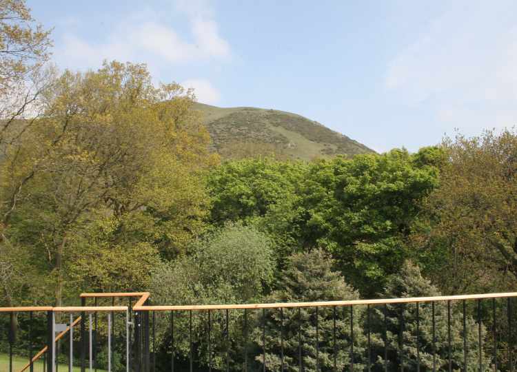This image shows the view from The Holt terrace. The foreground is of large mature trees from the bottom of the garden and beyond is a nearby large hill in The Long Mynd.