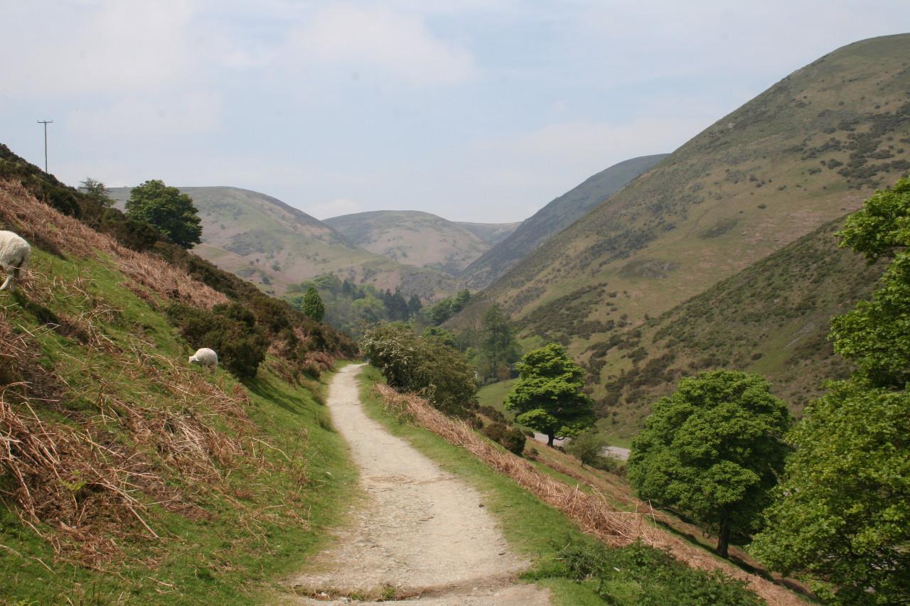 Homepage hero image for The Holt holiday cottage at Church Stretton, Shropshire, showing Cardingmill Valley walk only a minute from our front door. A winding path leading through the hills of Cardingmill Valley, to demonstrate the views only metres from the door of The Holt holiday home in Church Stretton.